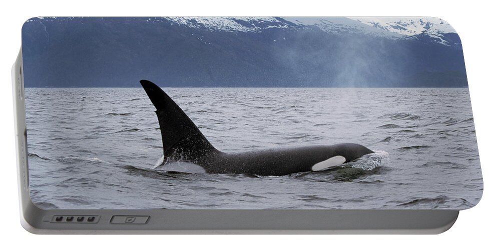 00196735 Portable Battery Charger featuring the photograph Orca in Inside Passage by Konrad Wothe