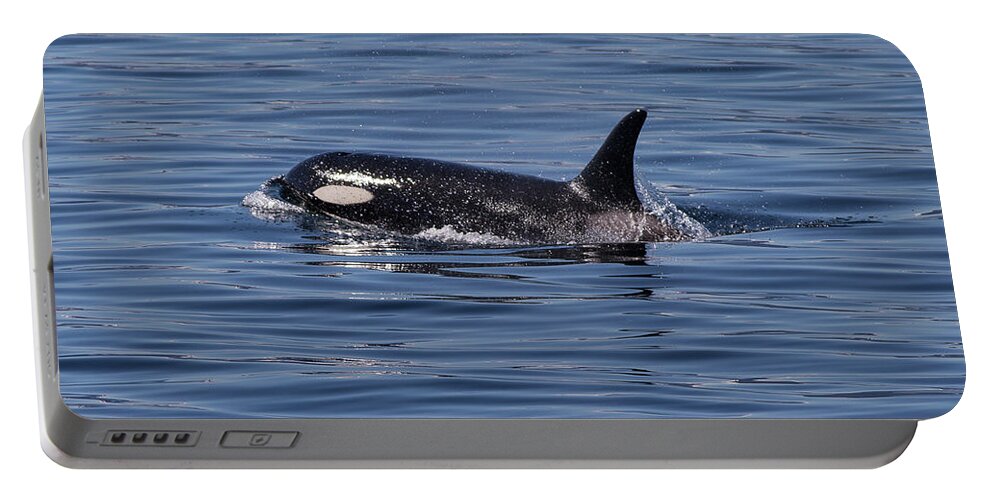 Ronnie Maum Portable Battery Charger featuring the photograph Orca by Ronnie Maum