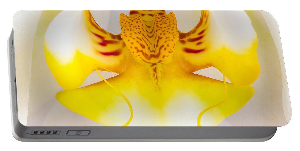 Orchid Portable Battery Charger featuring the photograph Orchid 1 by Patricia Schaefer