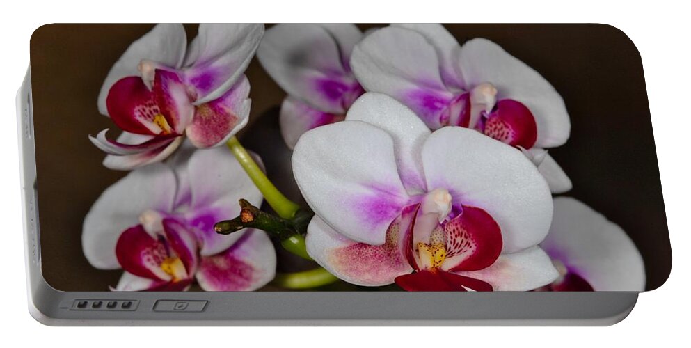 Orchid Portable Battery Charger featuring the photograph Orchid 306 by Wesley Elsberry