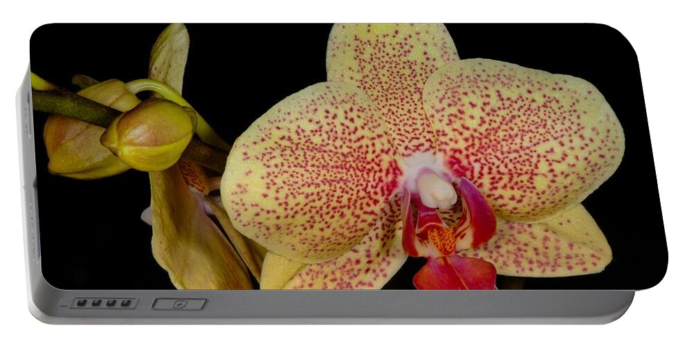 Orchid Portable Battery Charger featuring the photograph Orchid 377 by Wesley Elsberry
