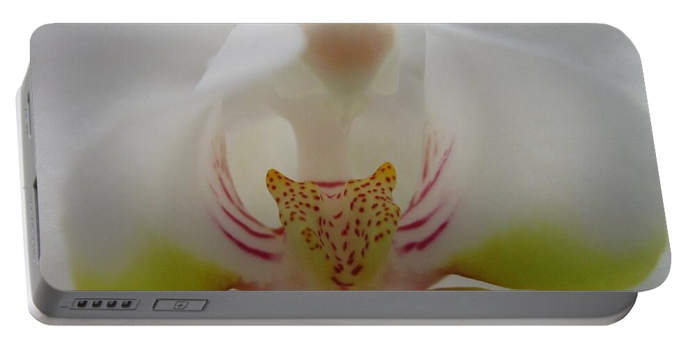 White Orchid Portable Battery Charger featuring the photograph Alien Embracing Tiger by Sharon Ackley