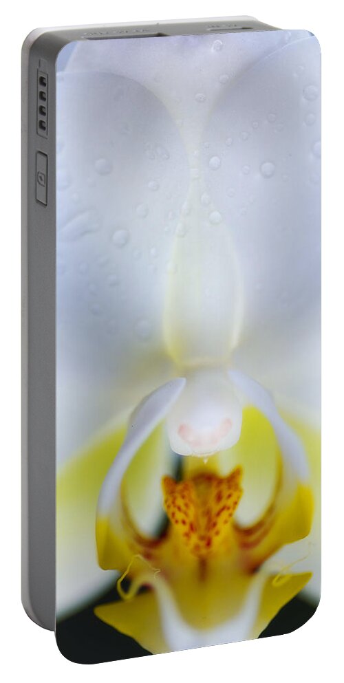 Orchid Portable Battery Charger featuring the photograph Orchid Face by Lawrence Knutsson