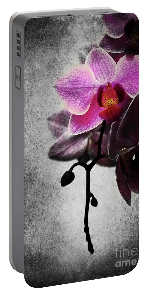 Orchid Portable Battery Charger featuring the photograph orchid IV by Hannes Cmarits