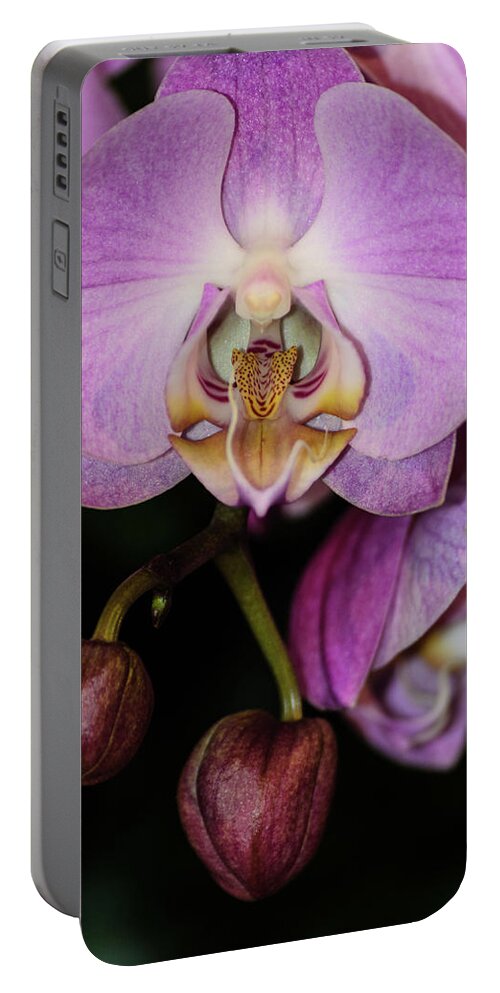 Cleveland Portable Battery Charger featuring the photograph Orchid Life by Stewart Helberg