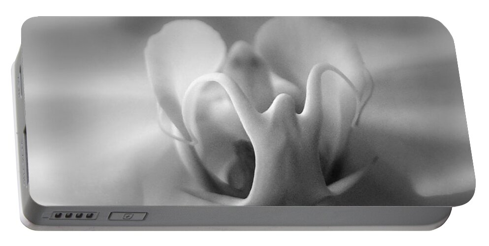 Flower Portable Battery Charger featuring the photograph Ghostly Grandeur by Lori Lafargue