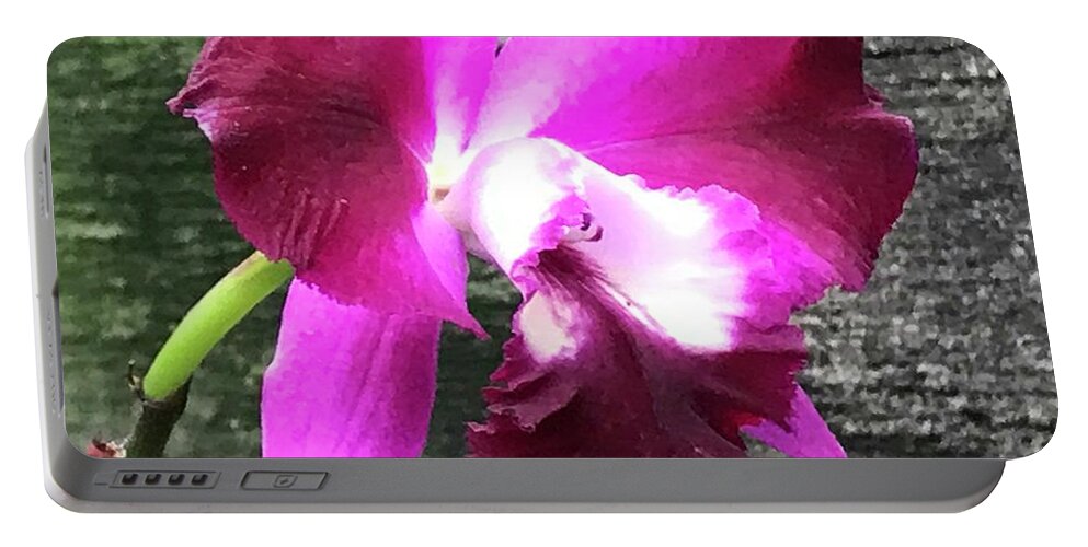 Flowers Portable Battery Charger featuring the photograph Orchids by Jean Wolfrum