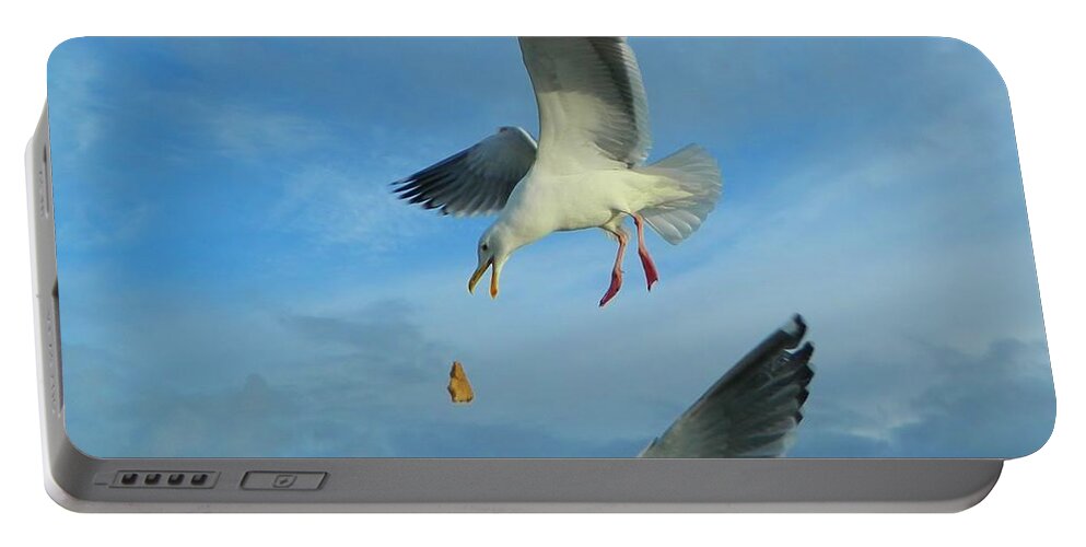 Gulls Portable Battery Charger featuring the photograph Oregon Coast Amazing Seagulls by Gallery Of Hope 