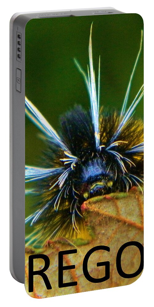 Oregon Portable Battery Charger featuring the photograph Oregon Woolly Bear by Gallery Of Hope 