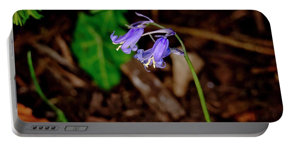 Floral Portable Battery Charger featuring the photograph Orphaned bluebells. by Elena Perelman