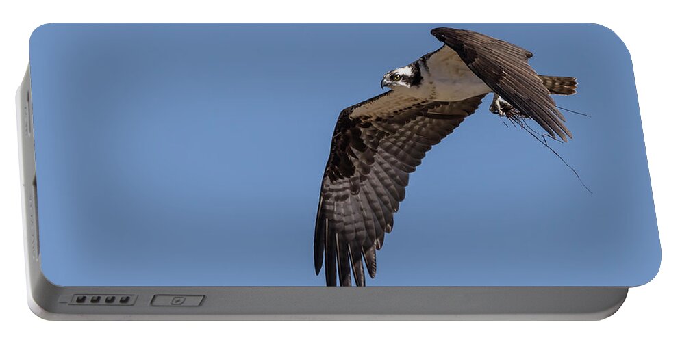 Osprey Portable Battery Charger featuring the photograph Osprey 2017-1 by Thomas Young