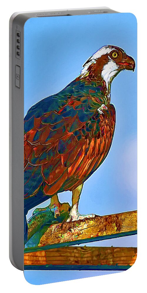 Osprey And Fish Portable Battery Charger featuring the photograph Osprey and Fish by Ginger Wakem