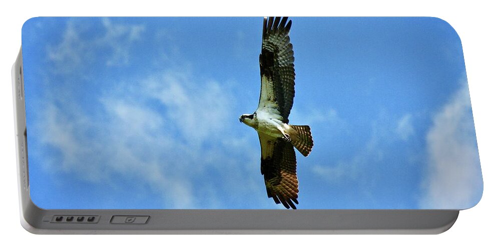Osprey Portable Battery Charger featuring the photograph Osprey and Me by Shawn M Greener