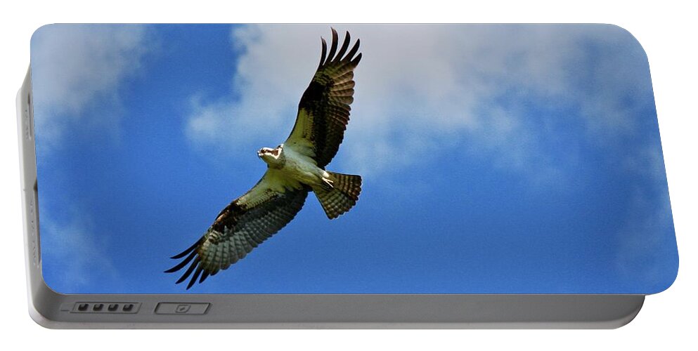 Bird Portable Battery Charger featuring the photograph Osprey at full stop by Shawn M Greener