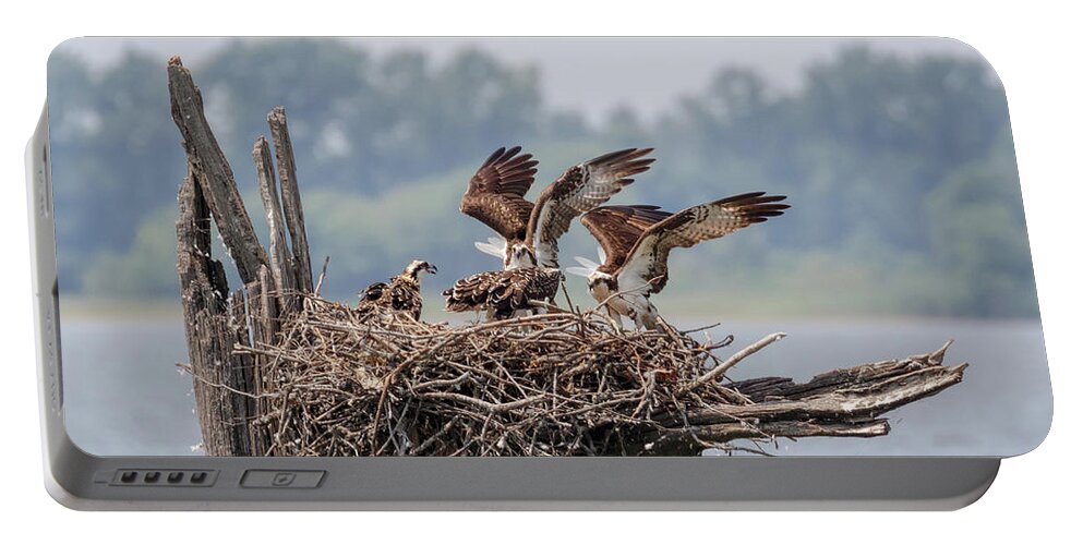 Osprey Portable Battery Charger featuring the photograph Osprey Flying Class by Susan Rissi Tregoning