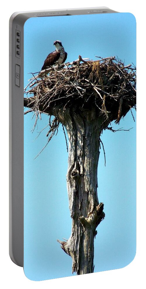 Osprey Portable Battery Charger featuring the photograph Osprey Point by Karen Wiles