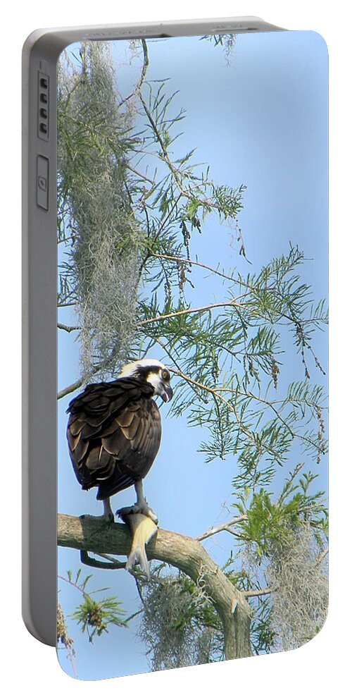Osprey Portable Battery Charger featuring the photograph Osprey with a fish by Christopher Mercer