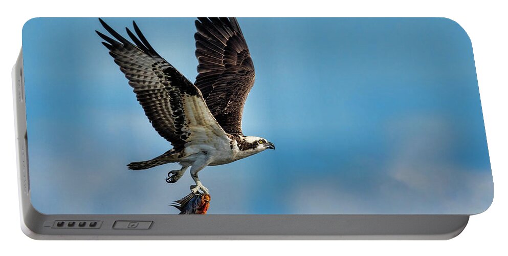 Osprey Portable Battery Charger featuring the photograph Osprey with Rainbow Bass 2 by Don Durfee
