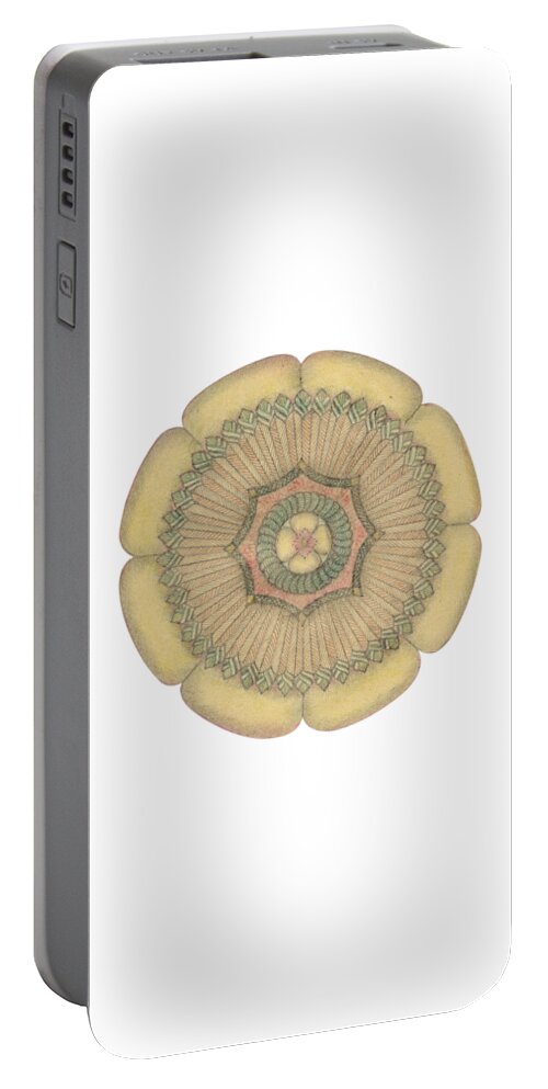 J Alexander Portable Battery Charger featuring the drawing Ouroboros ja088 by Dar Freeland