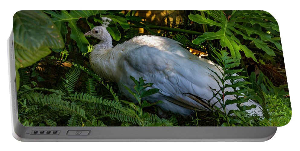 New Portable Battery Charger featuring the photograph Out of Concealment  by Ken Frischkorn