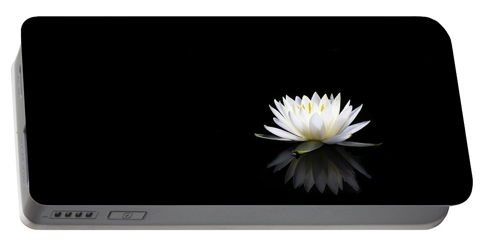 Water Lily Portable Battery Charger featuring the photograph Out of Darkness Comes Light by Penny Meyers
