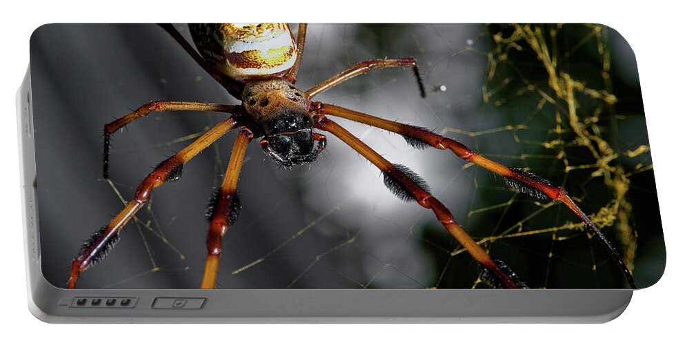 Spider Portable Battery Charger featuring the photograph Out Of The Dark by Christopher Holmes