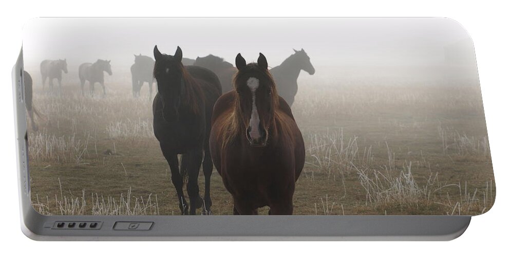 Animals Portable Battery Charger featuring the photograph Out Of The Mist by DeeLon Merritt