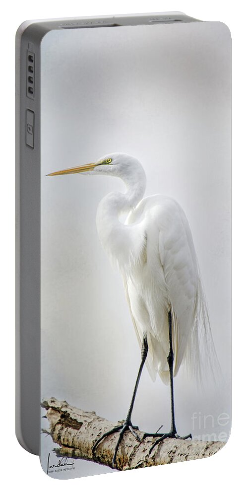 Nature Portable Battery Charger featuring the photograph Out on a Limb by Norma Warden