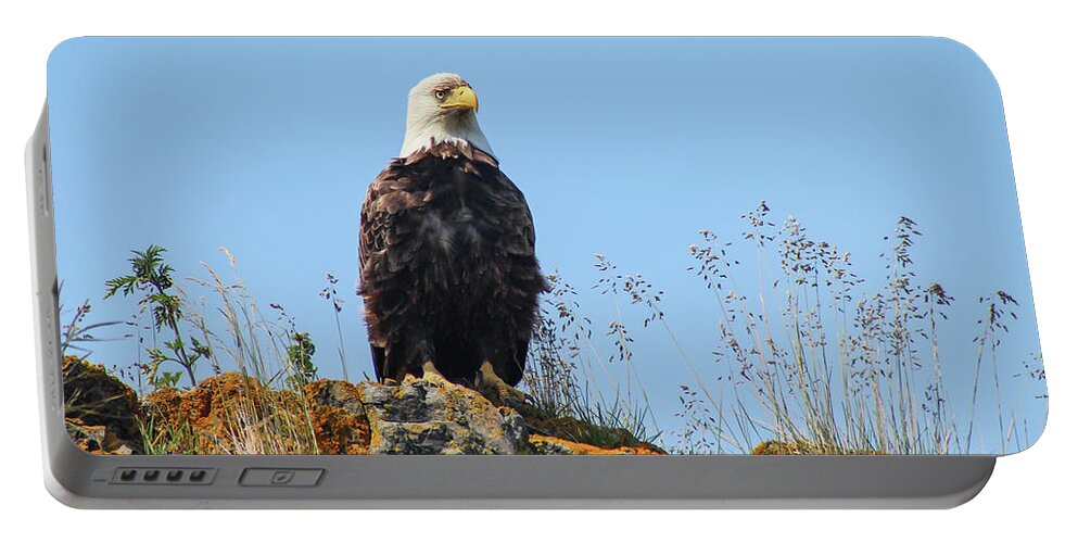 Eagle Portable Battery Charger featuring the photograph Overseer by Holly Ross