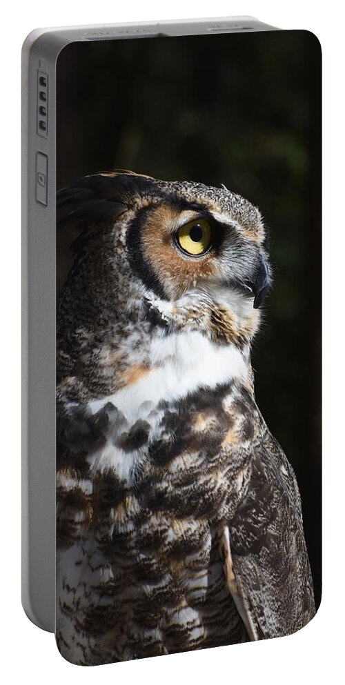 Great Horned Owl Portable Battery Charger featuring the photograph Owl 411 by Joyce StJames