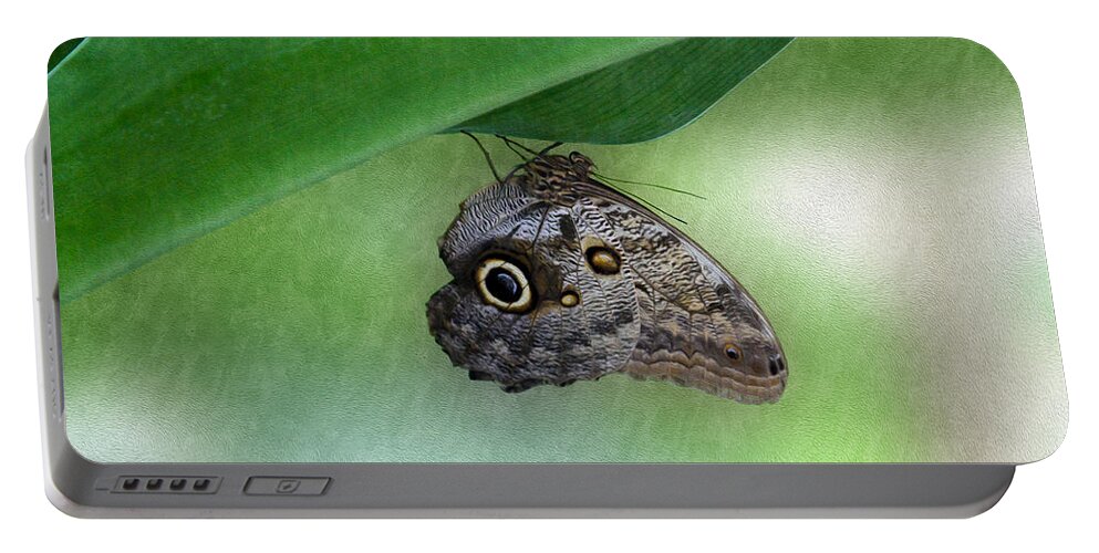 Bonnie Follett Portable Battery Charger featuring the photograph Owl butterfly hanging by Bonnie Follett