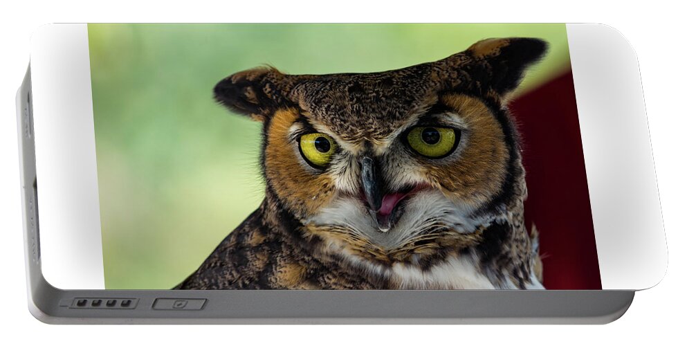 Owl Portable Battery Charger featuring the photograph Owl Tongue by Douglas Killourie