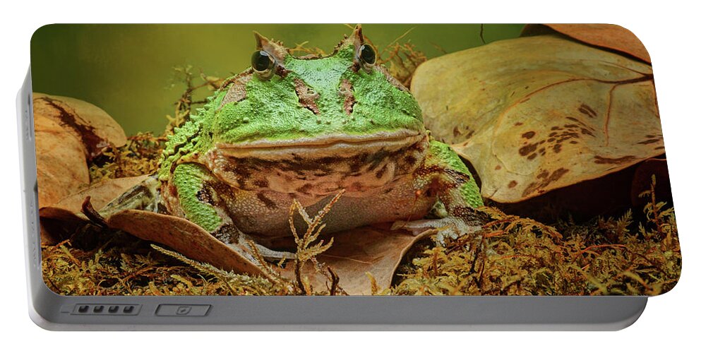 Frogs Portable Battery Charger featuring the photograph Pac Man - Frog by Nikolyn McDonald