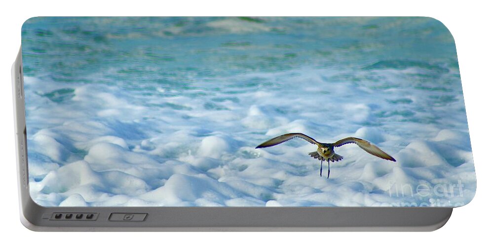 Bird Portable Battery Charger featuring the photograph Pacific Golden Plover Flying by Craig Wood