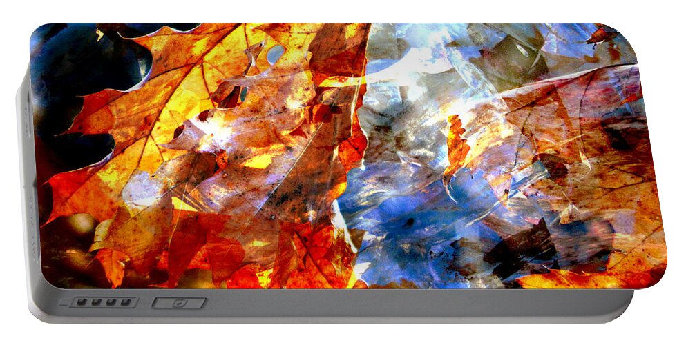 Leaf Portable Battery Charger featuring the photograph Painted Branches Abstract 1 by Anita Burgermeister
