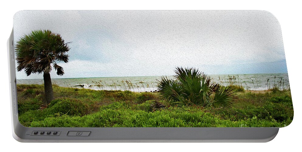 Intense Portable Battery Charger featuring the photograph Painted Edisto Beach by Skip Willits