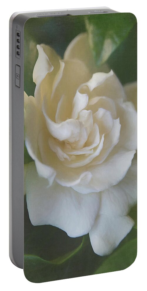 Gardenia Portable Battery Charger featuring the digital art Painted Gardenia Blossom by Teresa Wilson