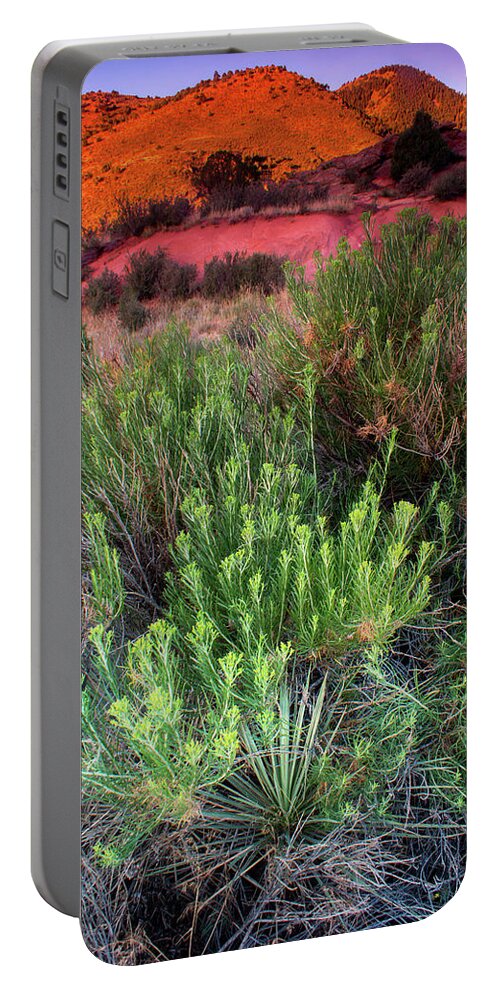 Front Range Portable Battery Charger featuring the photograph Painted Hills by John De Bord