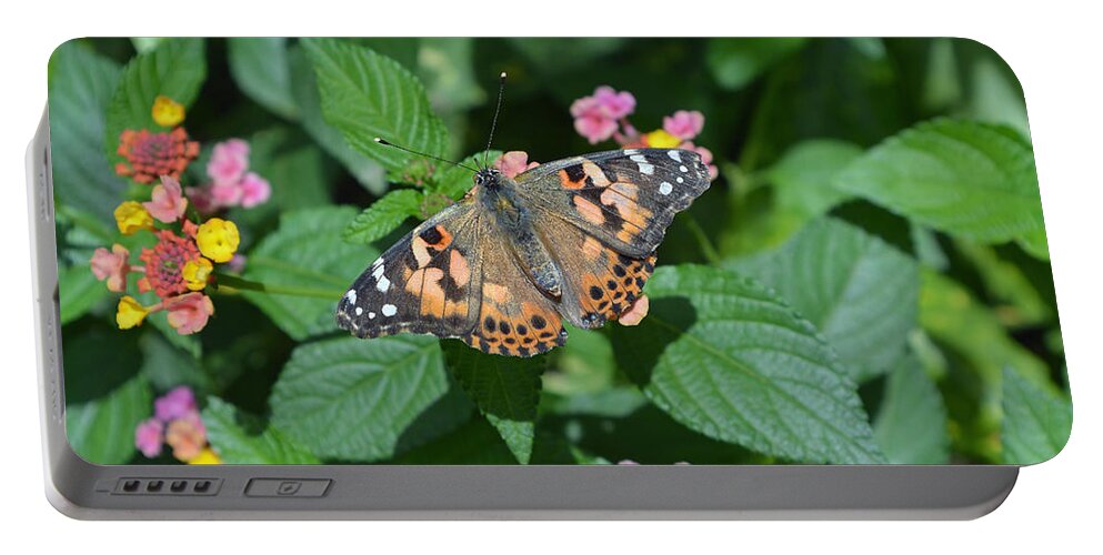Butterfly Portable Battery Charger featuring the photograph Painted Lady Butterfly by Aimee L Maher ALM GALLERY