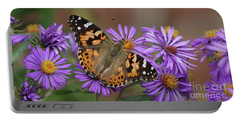 Painted Lady Portable Battery Charger featuring the photograph Painted Lady Butterfly and Aster Flowers 6x3 by Robert E Alter Reflections of Infinity