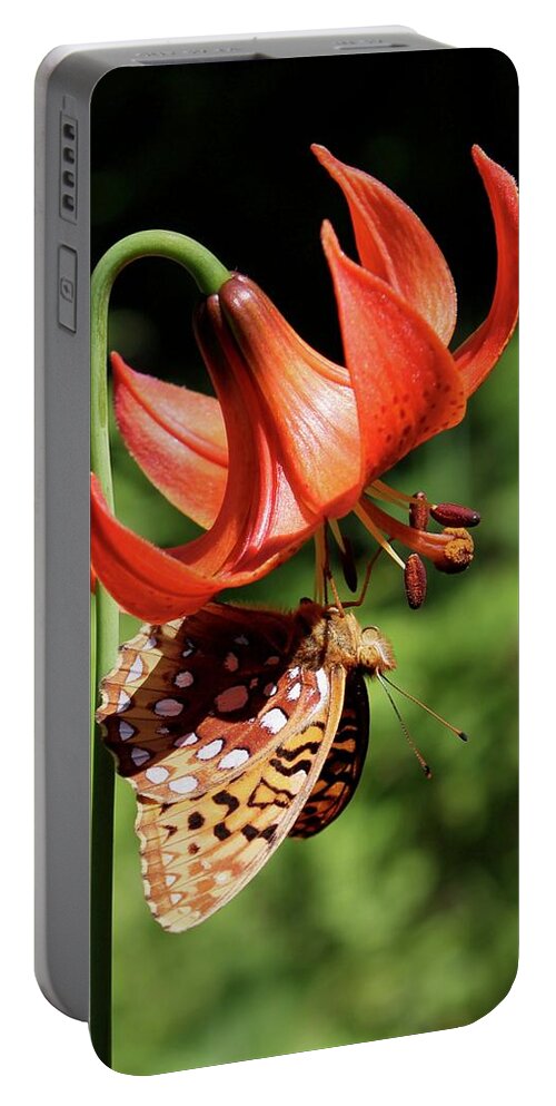 Flower Portable Battery Charger featuring the photograph Painted Lady on Lily by Sarah Lilja