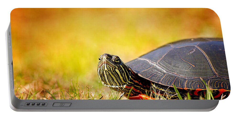 Painted Turtle Photo Portable Battery Charger featuring the photograph Painted Turtle Print by Gwen Gibson