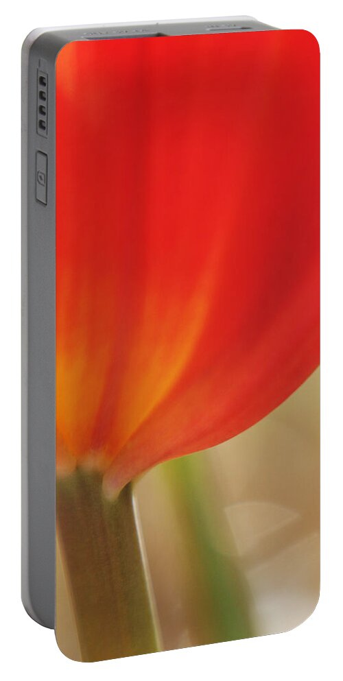 Flowers Portable Battery Charger featuring the photograph Painterly Tulip II by Dorothy Lee