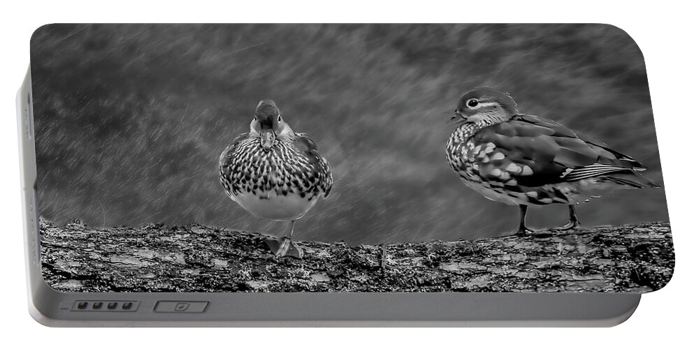 Tree Portable Battery Charger featuring the photograph Pair BW. by Leif Sohlman