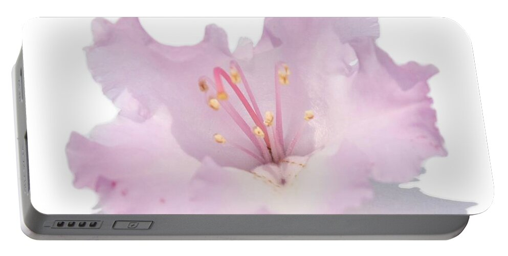 T-shirt Portable Battery Charger featuring the photograph Pale Pink Rhododendron on Transparent background by Terri Waters