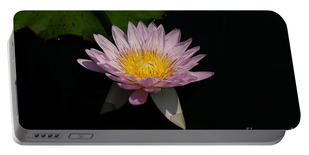 Pale Portable Battery Charger featuring the photograph Pale Purple Lotus Waterlily by Jackie Irwin