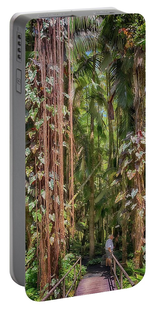 Palm Trees Portable Battery Charger featuring the photograph Palm Jungle by Susan Rissi Tregoning