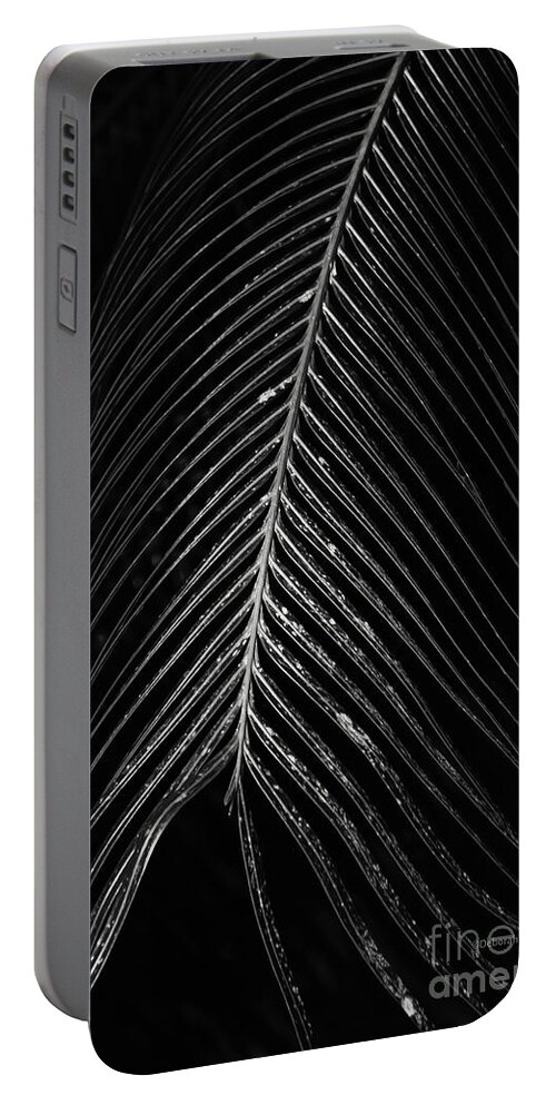 Palm Leaf Portable Battery Charger featuring the photograph Palm Leaf by Deborah Benoit