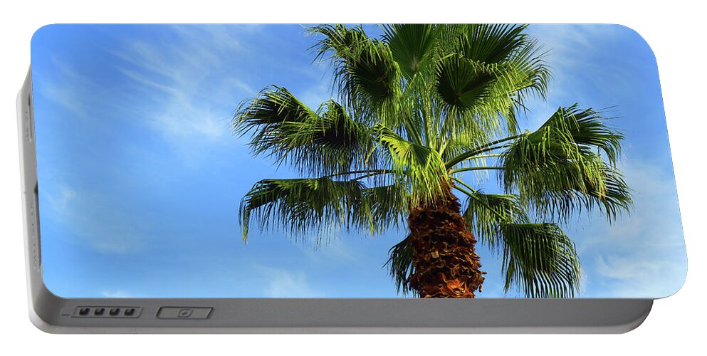 Palm Tree Portable Battery Charger featuring the photograph Palm Tree, Blue Sky, Wispy Clouds by Ram Vasudev