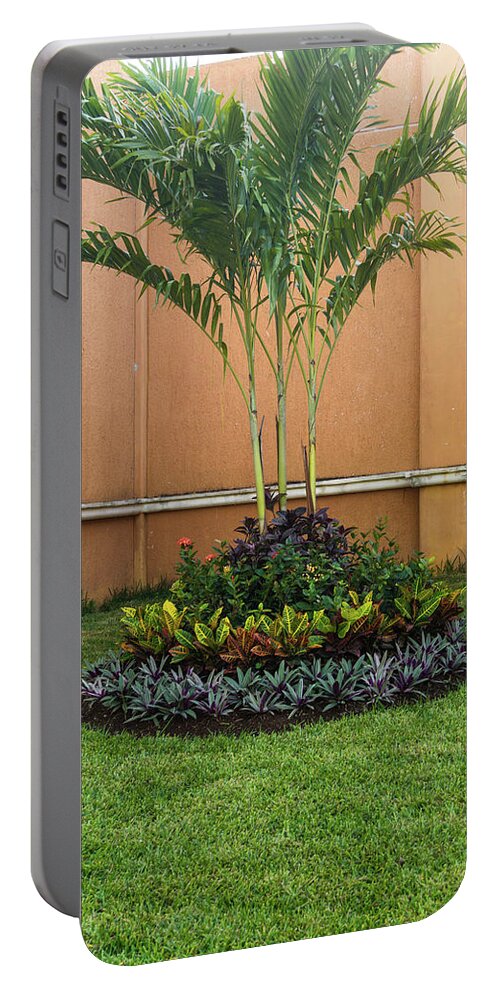  Portable Battery Charger featuring the photograph Palm Tree Garden by James Gay